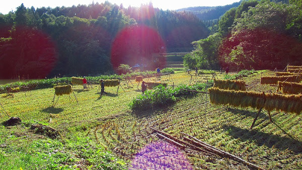 生き方働き方学校 自然栽培のもち米でお餅つき 水輪